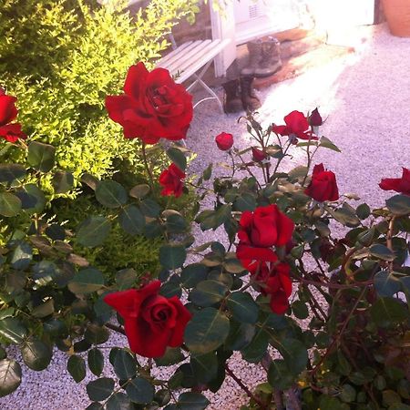 Bed and Breakfast L'Ecrin Villeneuve-sur-Lot Exterior foto