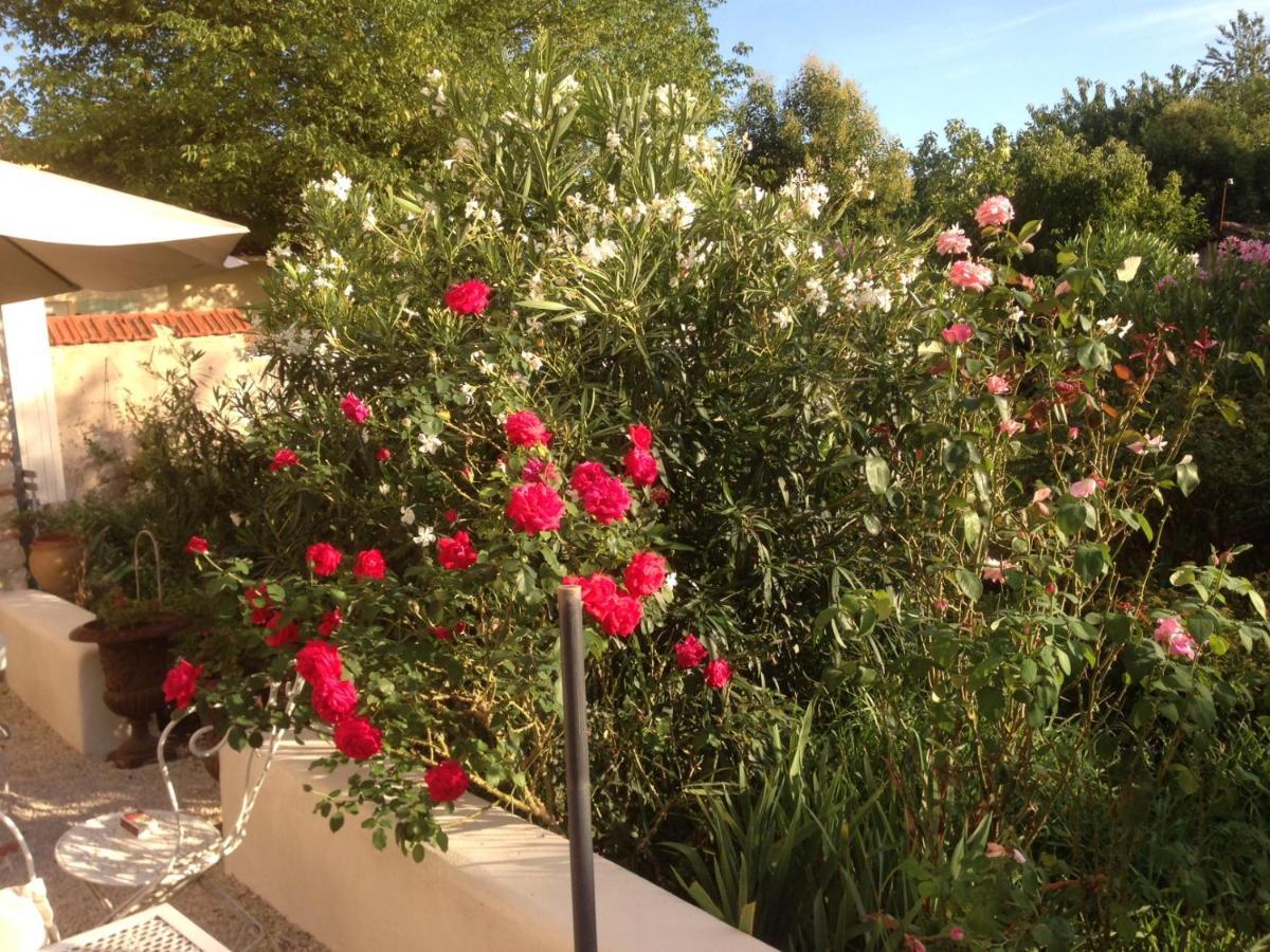 Bed and Breakfast L'Ecrin Villeneuve-sur-Lot Exterior foto
