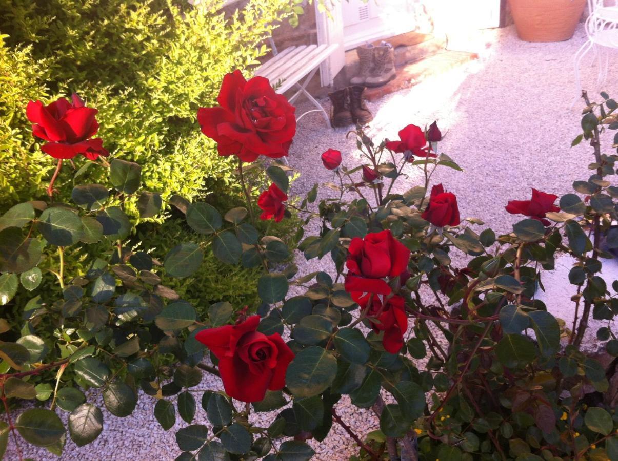Bed and Breakfast L'Ecrin Villeneuve-sur-Lot Exterior foto
